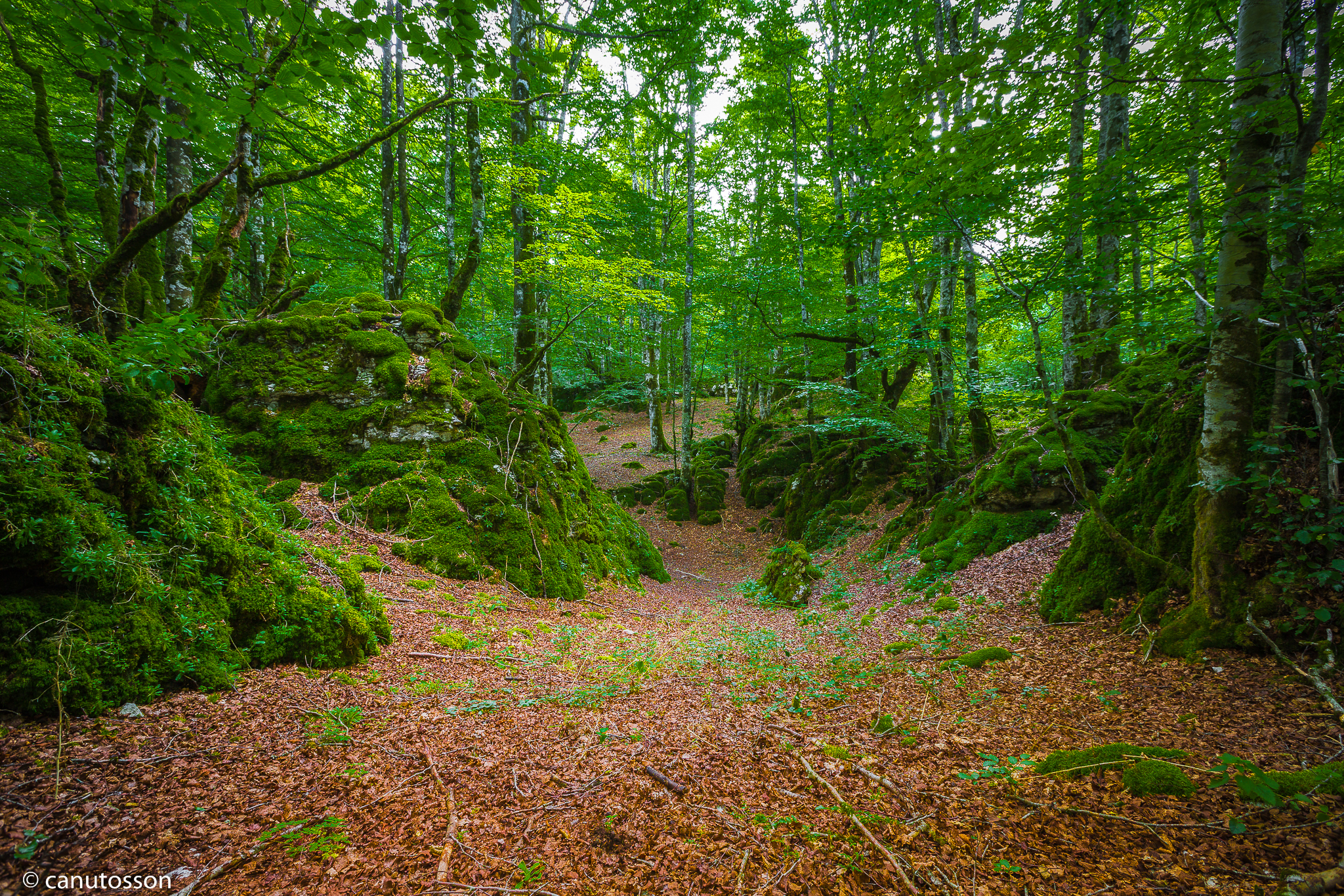 Sierra Urbasa, Navarra.
