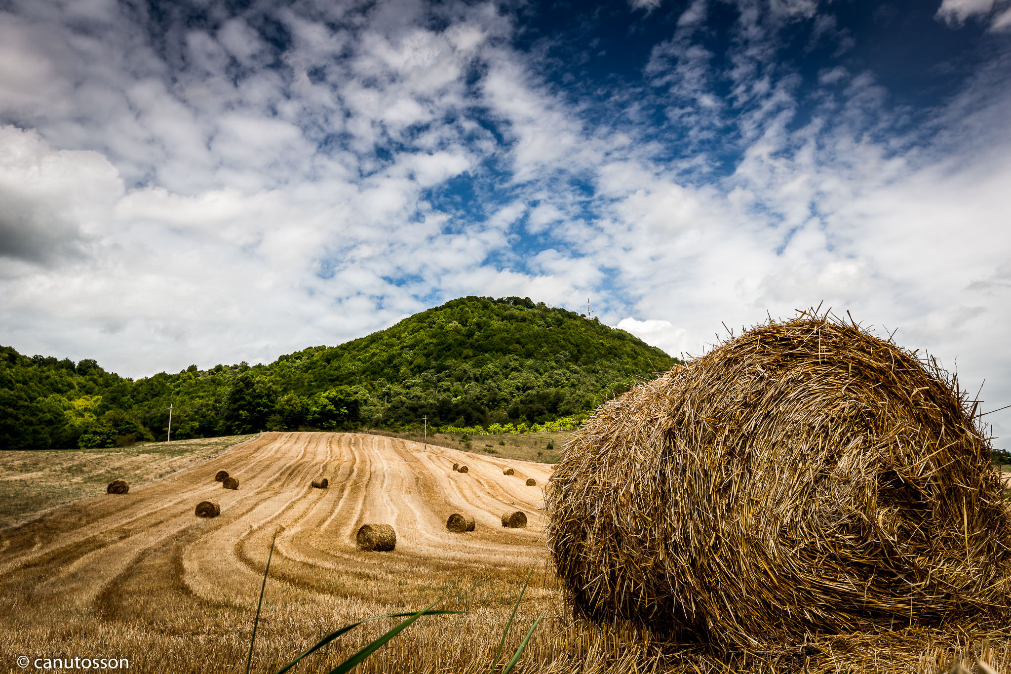 Pacas de paja redondo