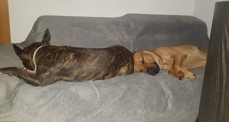 Durmiendo a pierna suelta