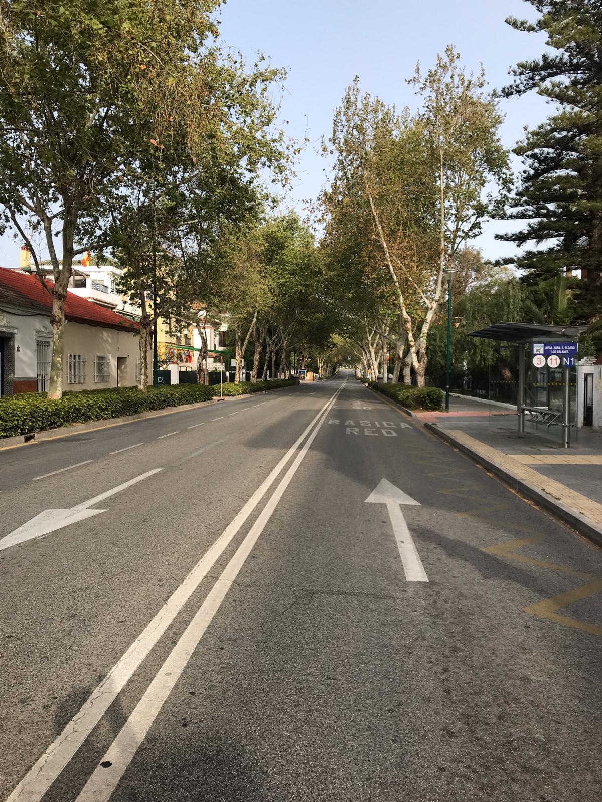 Avenida solitaria