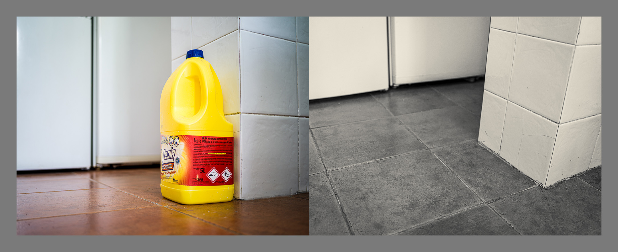 La protagonista del proyecto.