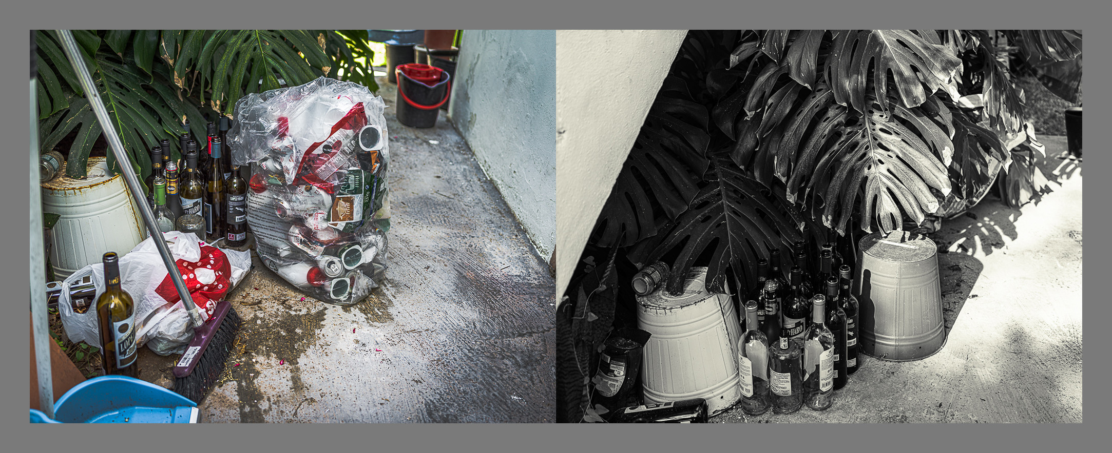 Plásticos y más plásticos.