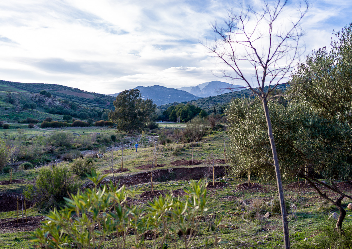 Una familia de excursionistas encuentran al cordero lechal perdido.