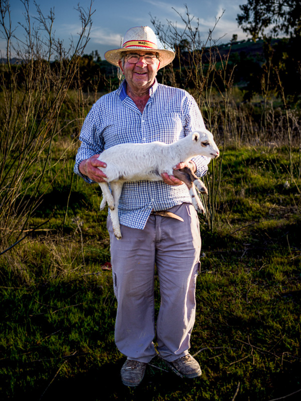 El cabrero recuperó el cordero de leche estraviado.