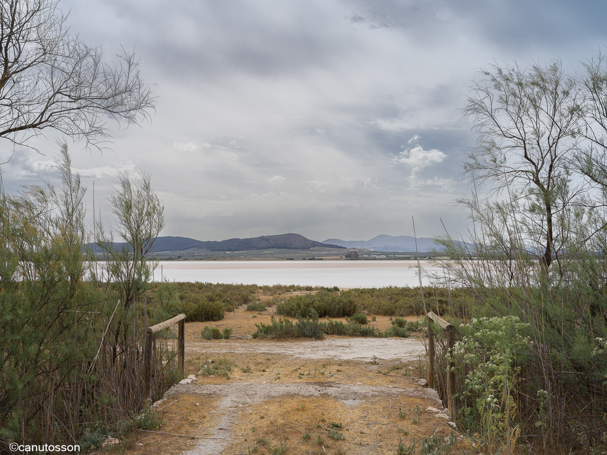 La laguna de Fuente Piedra se ha quedado sin agua.