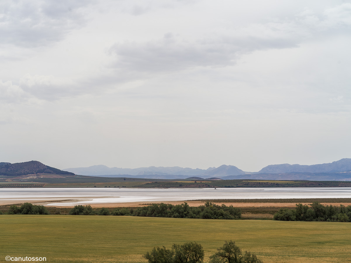 El salitre hace acto de presencia ante la falta de agua.