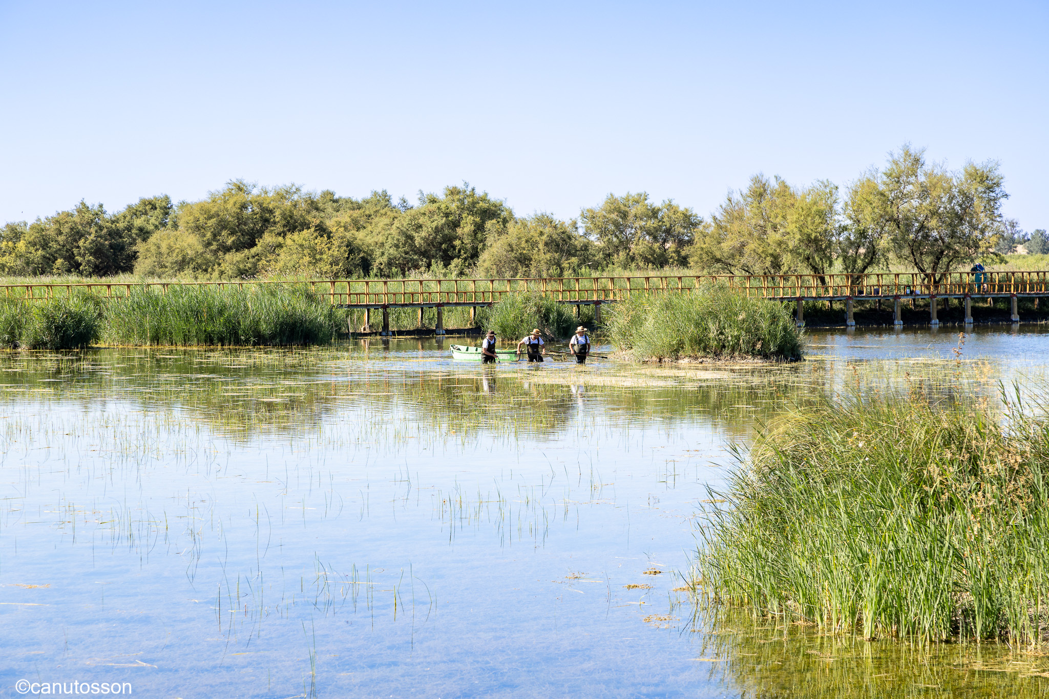 Operarios limitando la propagación de la flora.