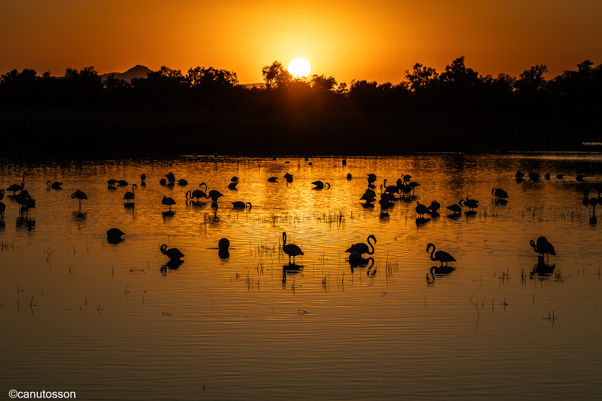 Una puesta de sol de oro.