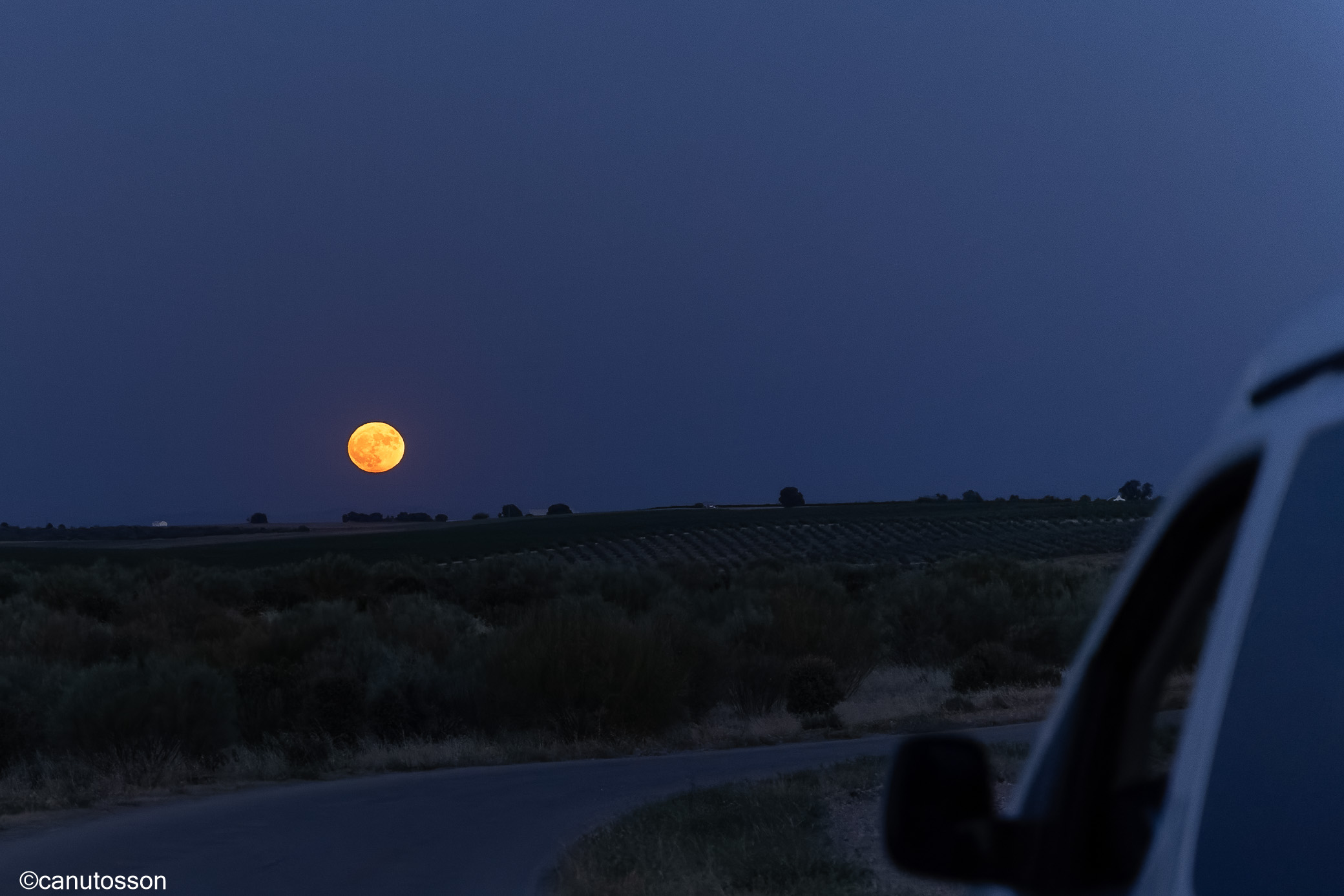 Las Tablas de Daimiel. Luna de sandre agosto 2023