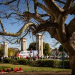 Manifestación en contra del genocidio israelí a su paso por el puerto de Málaga.
