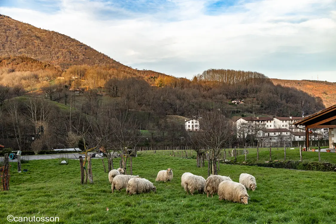Vista de Ituren desde el barrio de Latsaga.