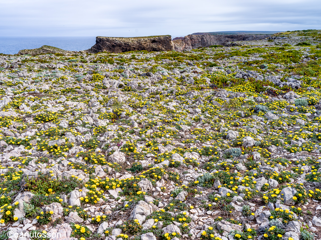 Planicie del Cabo de SAn Vicente, Algarve.