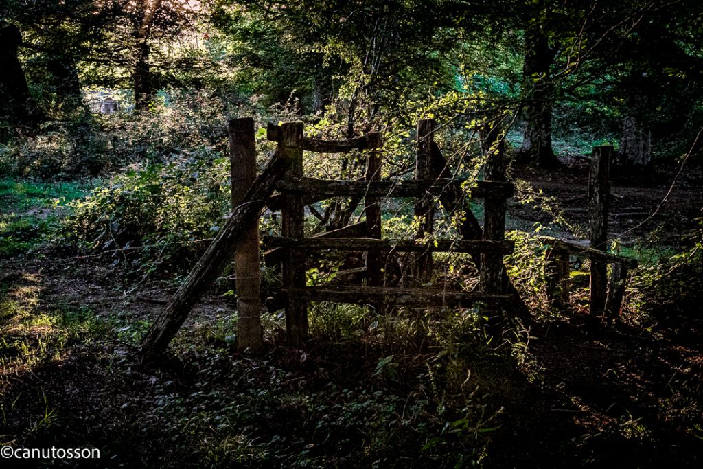 Puerta en una cerca de alambre de espino.