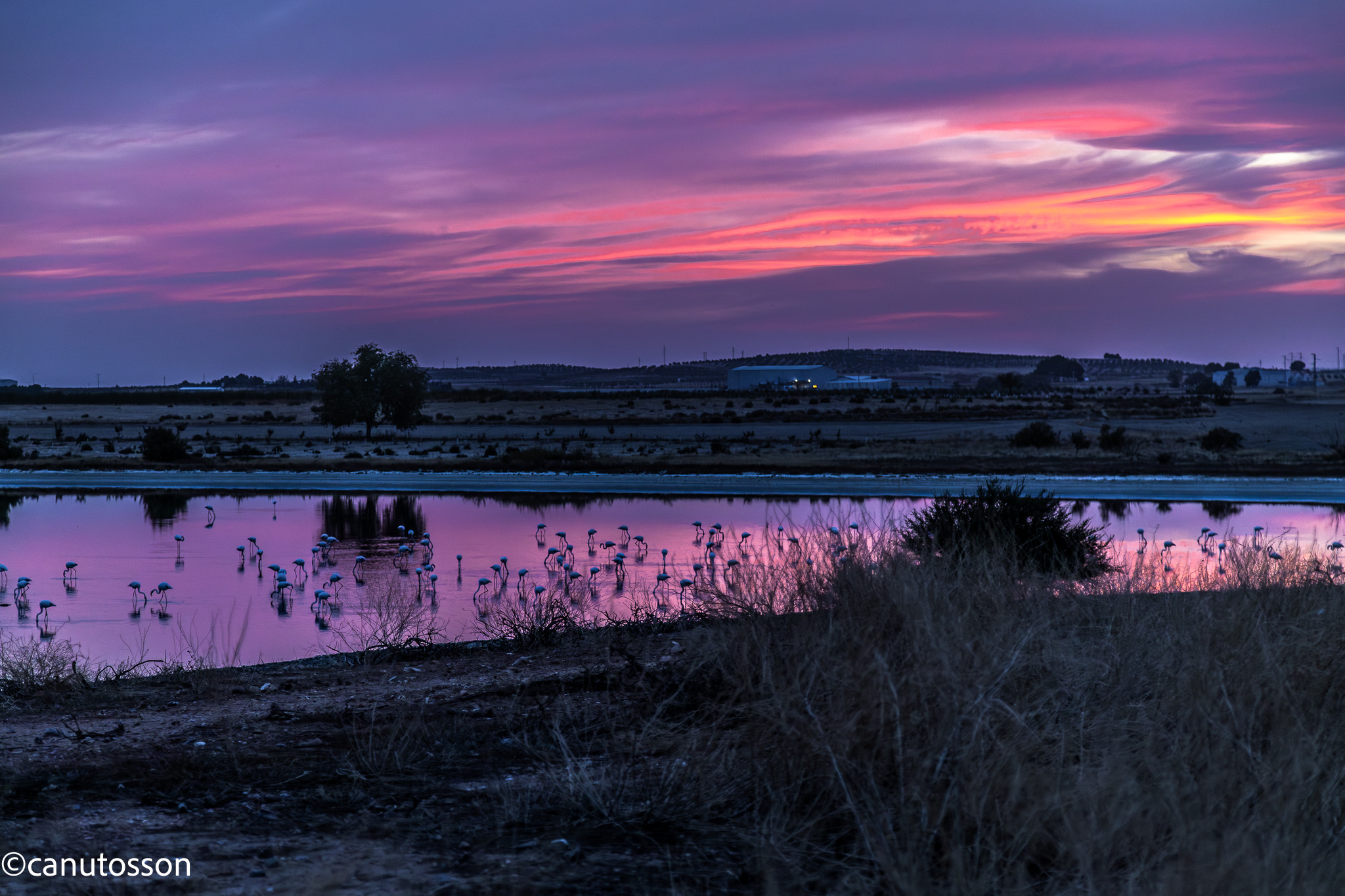 La Laguna Larga de Villacañas, Tooledo